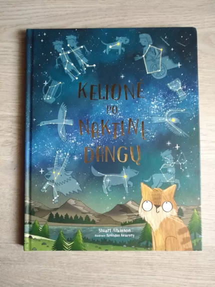 Kelionė po naktinį dangų