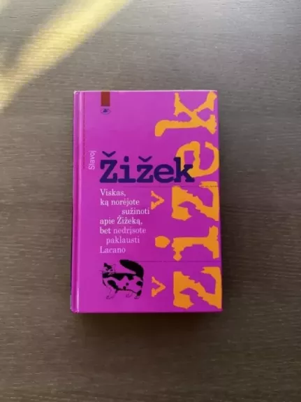 Viskas, ką norėjote sužinoti apie Žižeką, bet nedrįsote paklausti Lacano