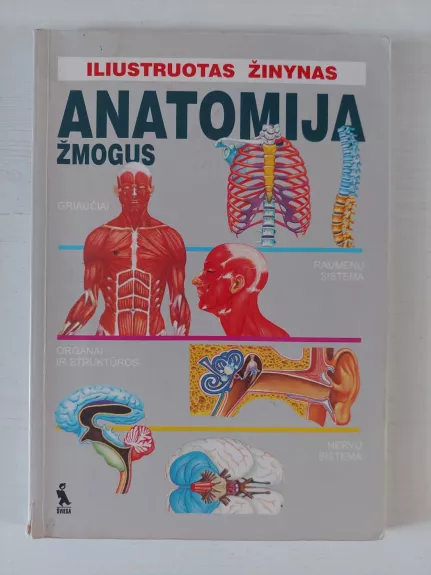 Iliustruotas žinynas Anatomija Žmogus - Autorių Kolektyvas, knyga 1