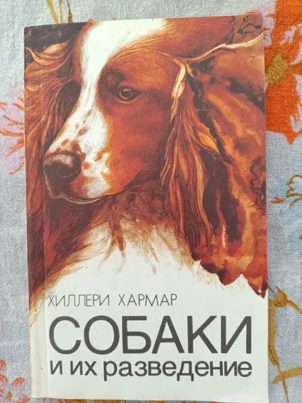 Sobaki i ix razvedenie