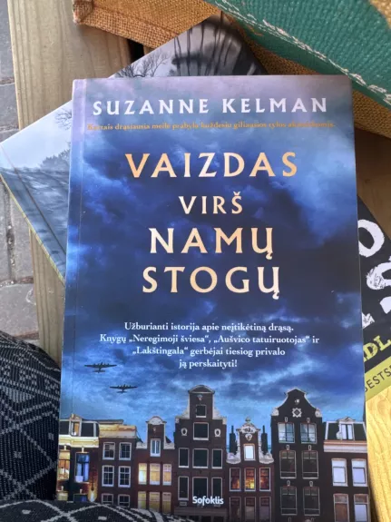 Vaizdas virš namų stogų - Suzanne Kelman, knyga