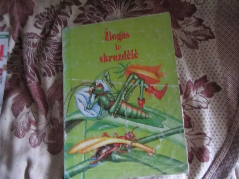Žiogas ir skruzdėlė - Autorių Kolektyvas, knyga