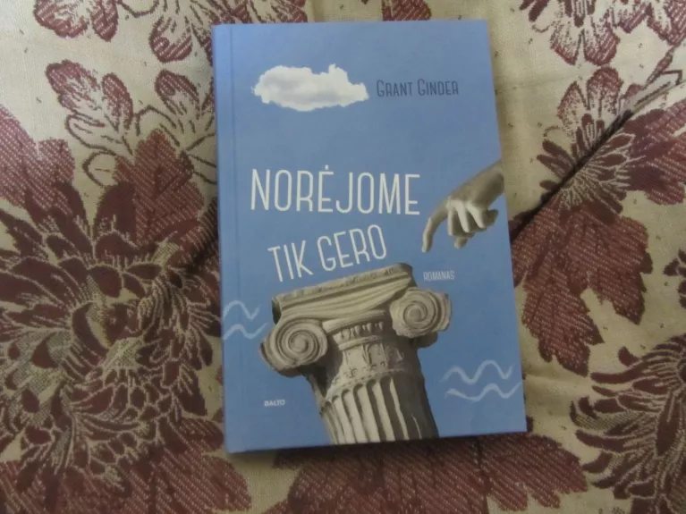 Norėjome tik gero