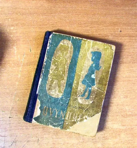 Dvynukės - Ėrichas Kestneris, knyga