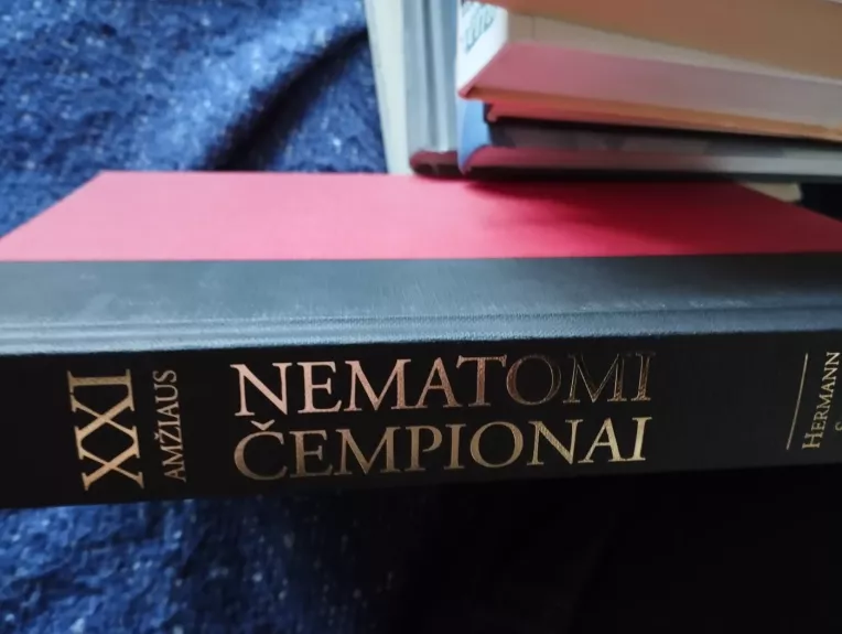 XXI amžiaus Nematomi Čempionai (verslo žinios) - Hermann Simon, knyga