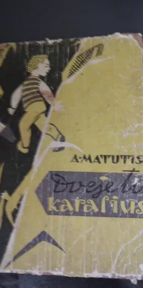 Dvejetų karalius - Anzelmas Matutis, knyga