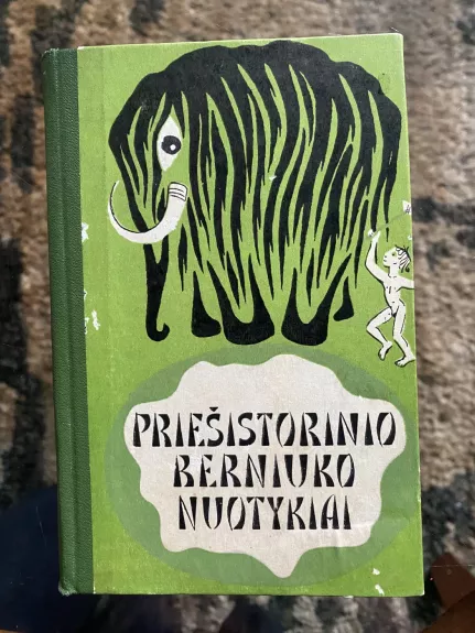 Priešistorinio berniuko nuotykiai