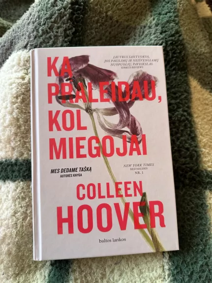 Ką praleidau, kol miegojai