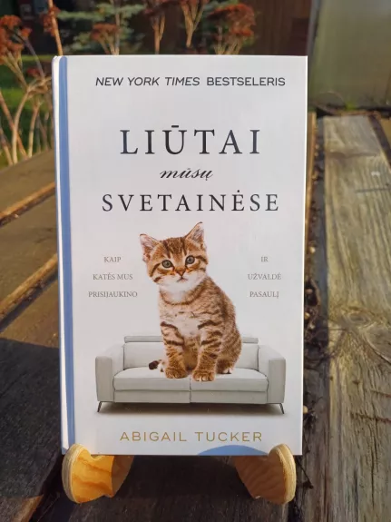 Liūtai mūsų svetainėse