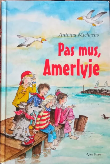 Pas mus, Amerlyje - Antonia Michaelis, knyga 1