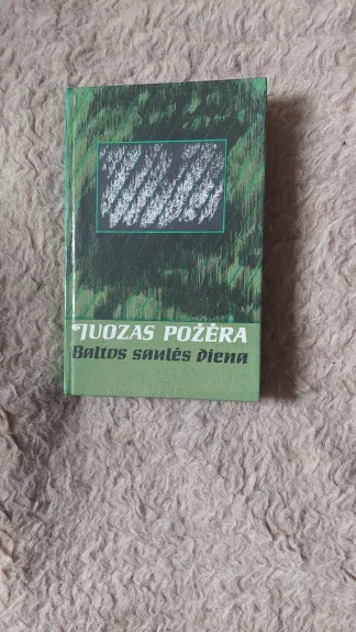 Baltos saulės diena