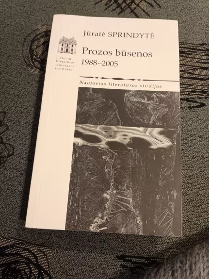 Prozos būsenos 1988-2005 - Jūratė Sprindytė, knyga