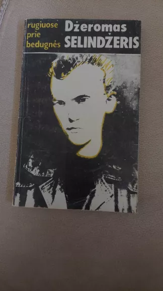 Rugiuose prie bedugnės - Džeromas Selindžeris, knyga