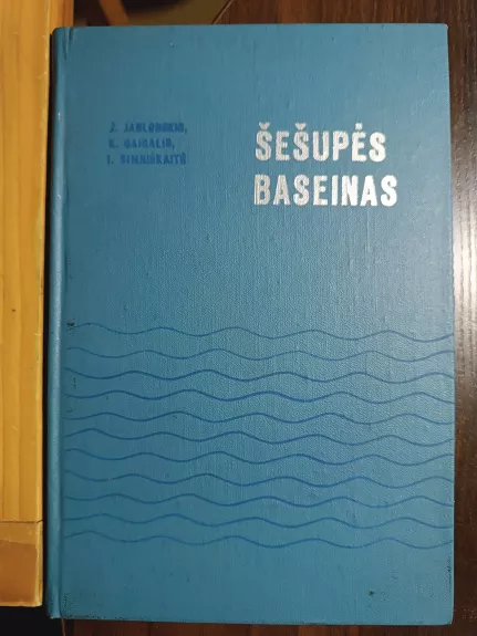Šešupės baseinas