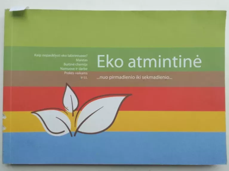 Eko atmintinė
