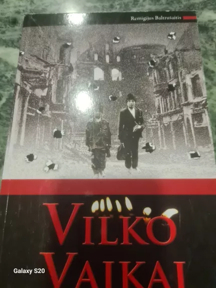 Vilko vaikai II - Remigijus Baltrušaitis, knyga