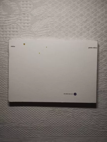 Pietūs vidury niekur