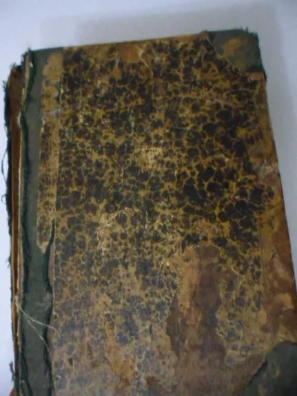 Grapas Montekristas - Aleksandras Diuma, knyga 1