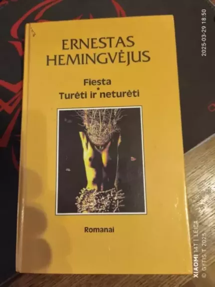Fiesta. Turėti ir neturėti - Ernestas Hemingvėjus, knyga