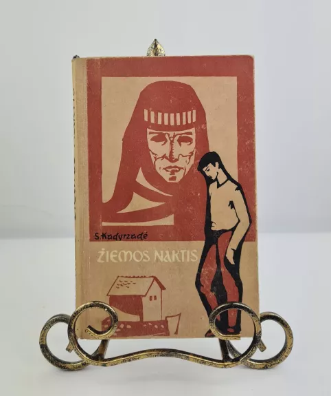 Žiemos naktis - S. Kadyrzadė, knyga