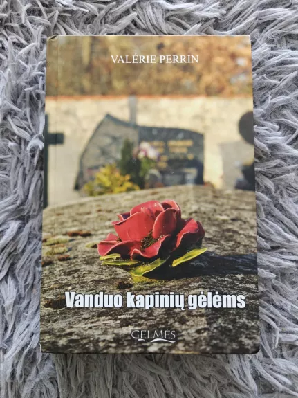 Vanduo kapinių gėlėms : romanas - Valerie Perrin, knyga 1