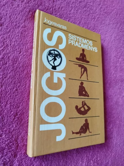 Jogos sistemos pradmenys