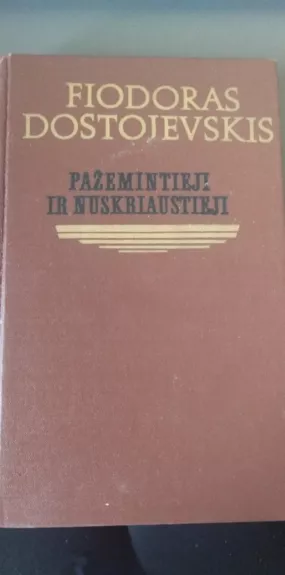 Pažemintieji ir nuskriaustieji - Fiodoras Dostojevskis, knyga