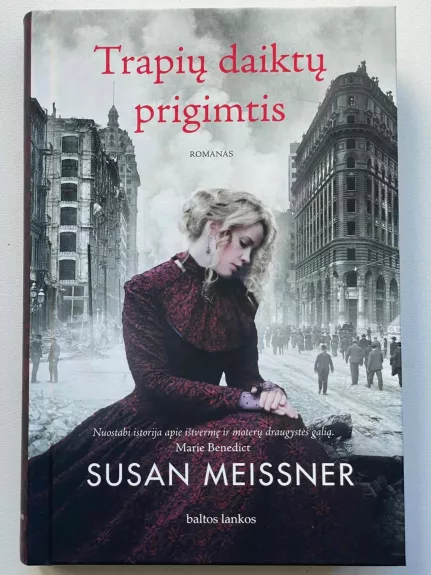 Trapių daiktų prigimtis - Susan Meissner, knyga