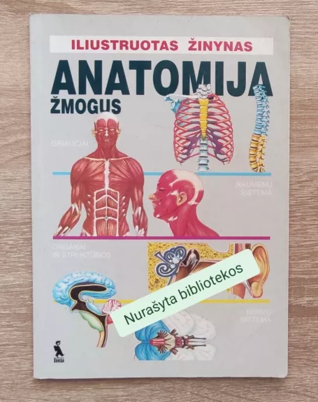 Iliustruotas žinynas Anatomija Žmogus - Autorių Kolektyvas, knyga 1