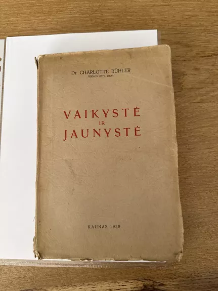 Vaikystė ir jaunystė. Sąmonės genezė