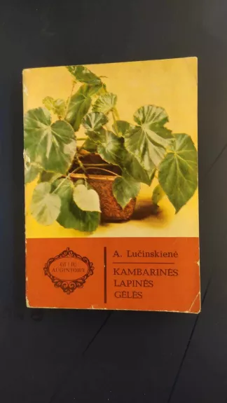 Kambarinės lapinės gėlės