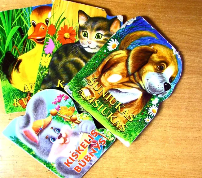 Katytė gražuolytė