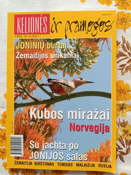 Kelionės ir pramogos 2008 nr. 6 (93)