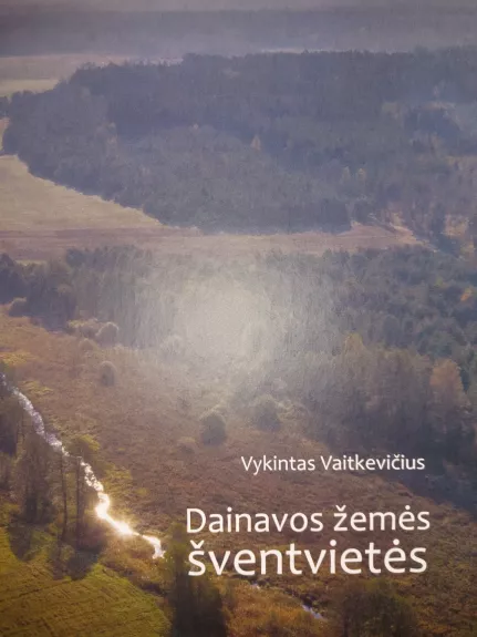 Dainavos žemės šventvietės - Vykintas Vaitkevičius, knyga