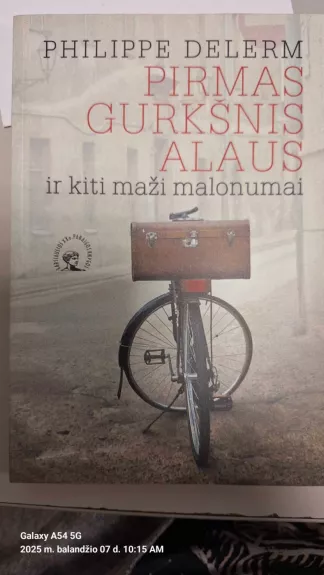 Pirmas gurkšnis alaus ir kiti maži malonumai - Philippe Delerm, knyga