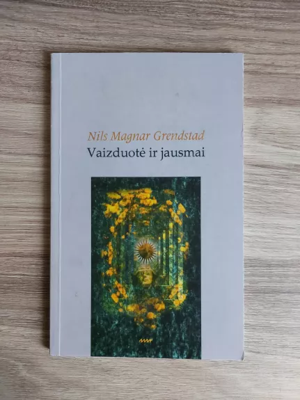 Vaizduotė ir jausmai