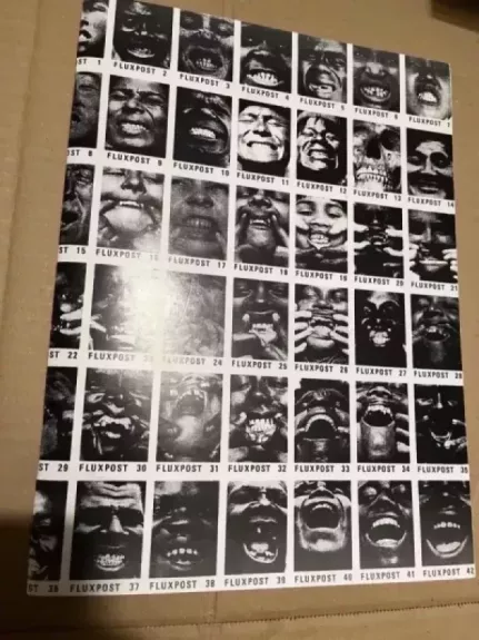 Fluxus Parodos katalogas - Kęstutis Kuizinas, knyga