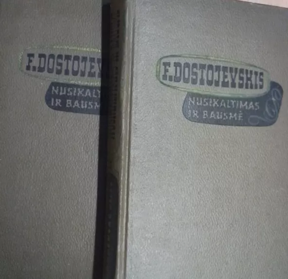 Nusikaltimas ir bausmė (2 knygos) - Fiodoras Dostojevskis, knyga 1