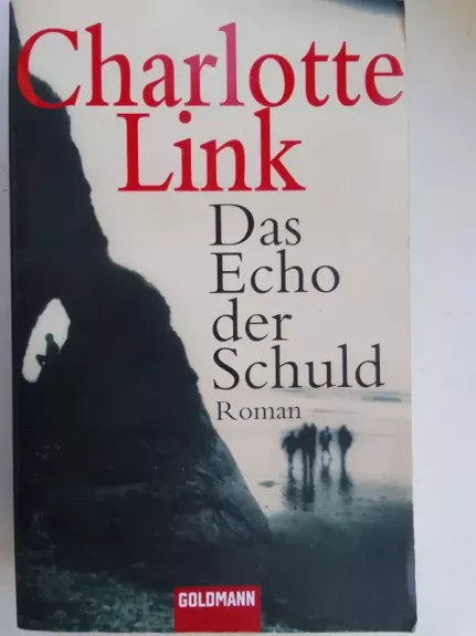 Das Echo der Schuld Roman