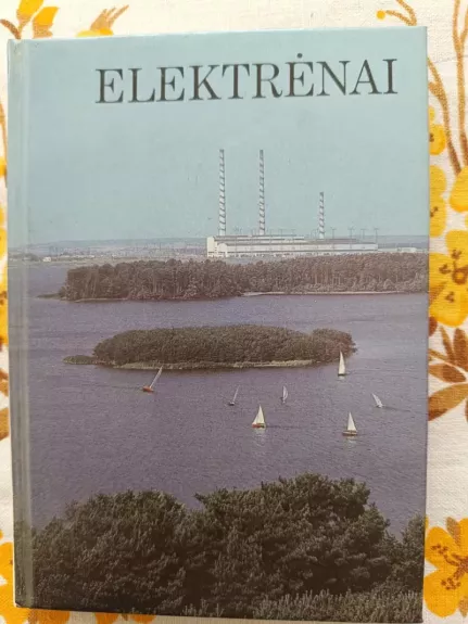 Lietuvos miestai. Elektrėnai