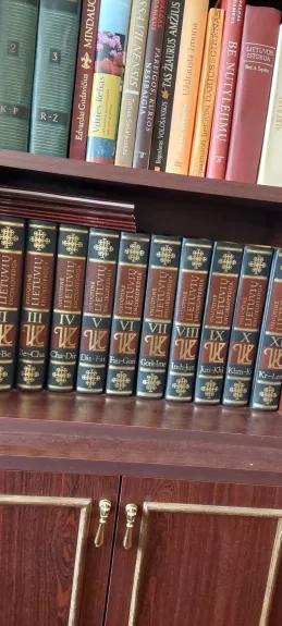 Visuotinė lietuvių enciklopedija (1 tomas)