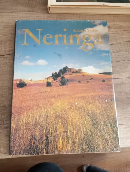 Neringa