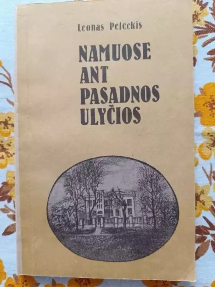 Namuose ant pasadnos ulyčios