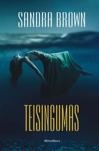 Teisingumas - Sandra Brown, knyga