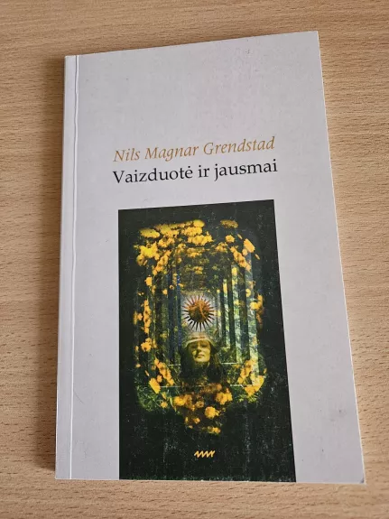 Vaizduotė ir jausmai