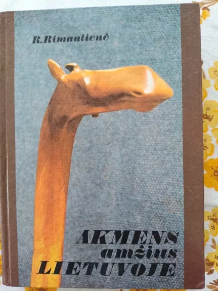 Akmens amžius Lietuvoje