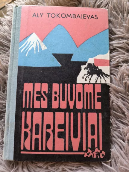 Mes buvome kareiviai - Aly Tokombajevas, knyga