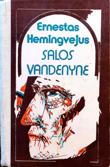 Salos vandenyne