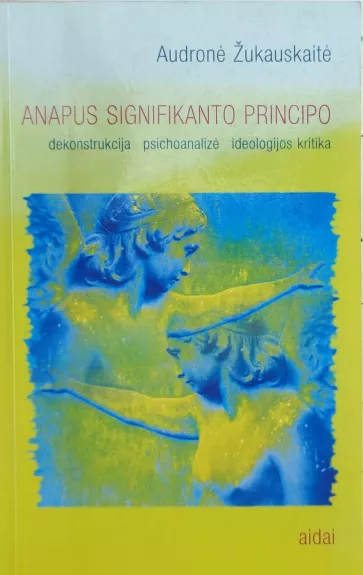 Anapus signifikanto principo - Audronė Žukauskaitė, knyga
