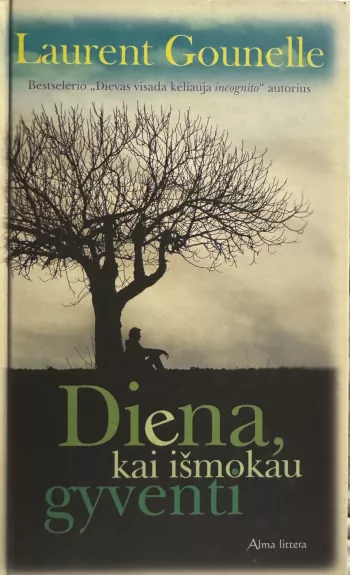 Diena, kai išmokau gyventi - Laurent Gounelle, knyga 1